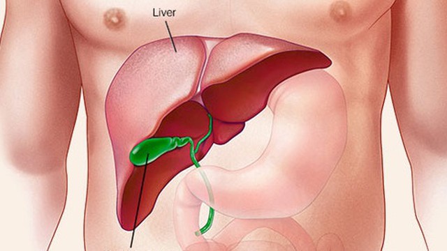 bai-viet/canh-bao-cac-dau-hieu-gan-dang-thai-doc-can-luu-y-69271.html