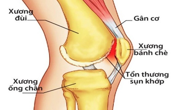 bai-viet/cau-tao-khop-goi-va-chuc-nang-cua-khop-goi-doi-voi-co-the.html