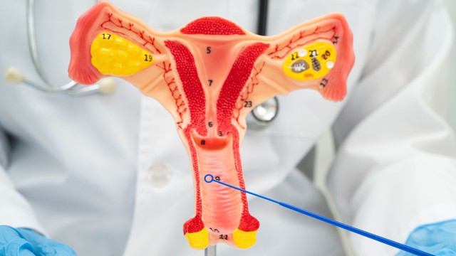 bai-viet/co-tu-cung-ngan-nguyen-nhan-dau-hieu-va-cach-phong-ngua.html