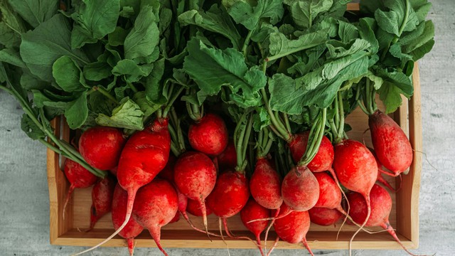 bai-viet/cu-cai-do-la-gi-cong-dung-va-luu-y-su-dung-dung-cach.html