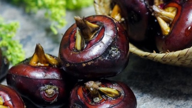 bai-viet/sau-sinh-an-cu-nang-duoc-khong-nhung-loai-thuc-pham-nen-tranh-sau-sinh.html