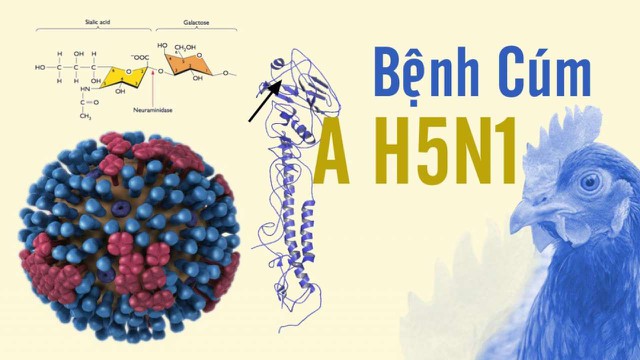 bai-viet/cum-a-h5n1-va-tat-tan-tat-nhung-gi-ban-can-biet-71370.html