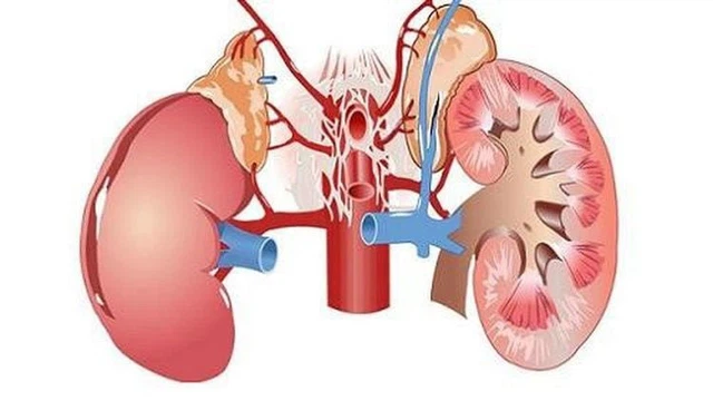 bai-viet/dau-hieu-nhan-biet-than-am-hu-la-gi.html