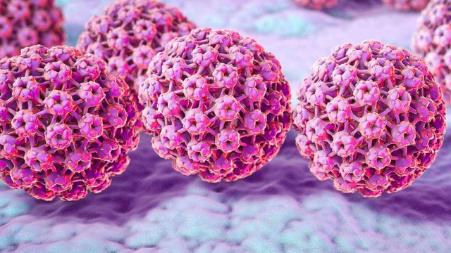 bai-viet/diem-danh-cac-loai-virus-gay-ung-thu-thuong-gap-nhat.html
