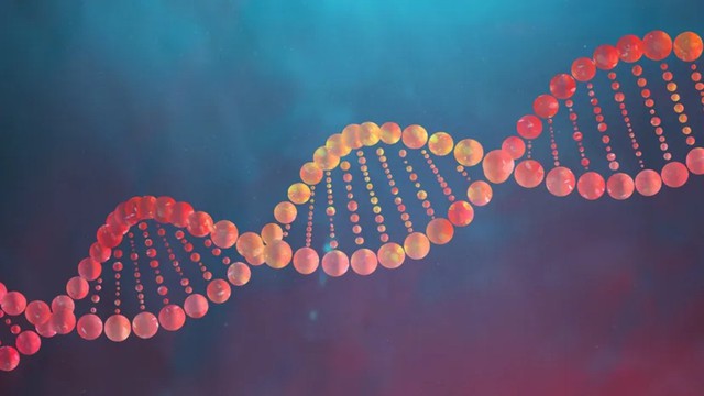 bai-viet/dna-la-gi-va-co-vai-tro-nhu-the-nao.html