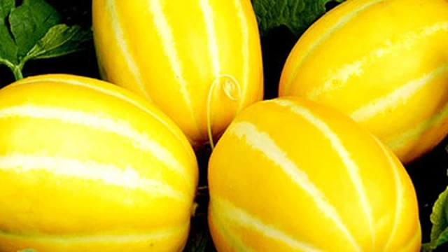 bai-viet/dua-gang-an-song-duoc-khong-cong-dung-tuyet-voi-tu-dua-gang.html