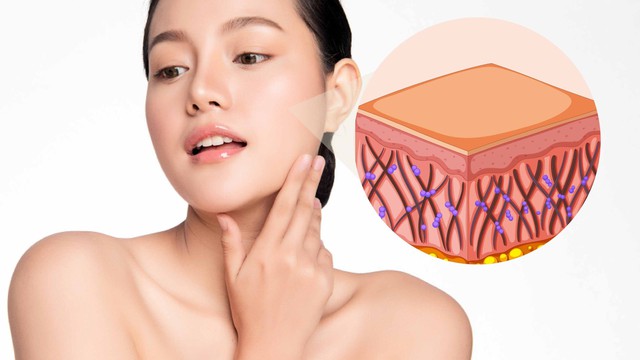 bai-viet/elastin-co-tac-dung-gi-phuong-phap-bo-sung-elastin-cho-co-the.html