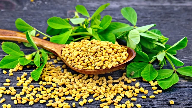 Tìm hiểu về lợi ích của Fenugreek đối với sức khỏe