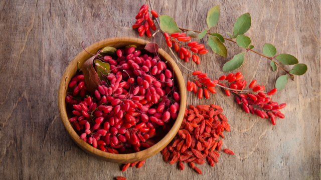 bai-viet/huyet-ap-thap-co-uong-duoc-ky-tu-khong-loi-ich-cua-ky-tu-doi-voi-suc-khoe.html