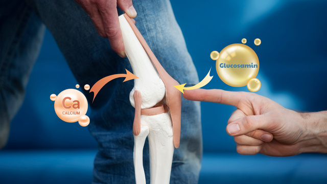 bai-viet/glucosamine-va-canxi-khac-nhau-nhu-the-nao.html