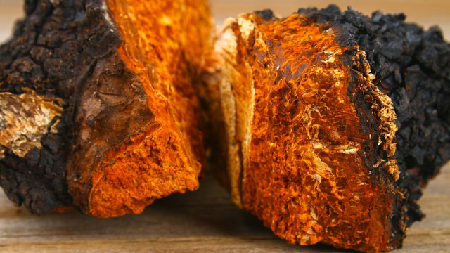 bai-viet/huyet-ap-thap-co-uong-duoc-nam-chaga-khong-1.html