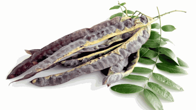 bai-viet/goi-dau-bang-bo-ket-mang-lai-tac-dung-gi.html