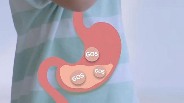 bai-viet/gos-la-gi-vai-tro-quan-trong-cua-gos-doi-voi-suc-khoe-cua-tre.html