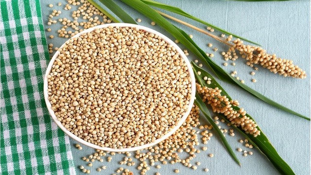 bai-viet/hat-bo-bo-co-tac-dung-gi-mot-so-bai-thuoc-duoc-lieu-tu-hat-bo-bo.html