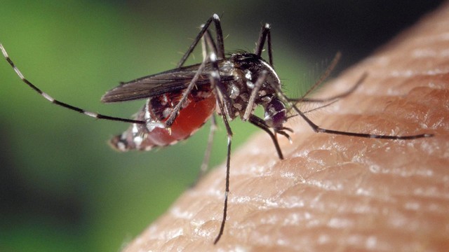 bai-viet/hiv-co-lay-qua-duong-muoi-dot-khong-nhung-thong-tin-can-biet.html