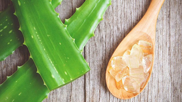bai-viet/huong-dan-cach-lam-nha-dam-dap-mat-khong-bi-ngua-70206.html