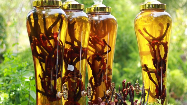 bai-viet/huong-dan-cach-lam-nhung-huou-ngam-ruou-dung-chuan-71022.html