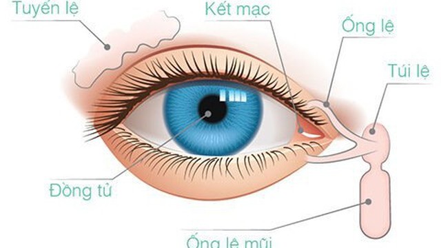 bai-viet/ket-mac-la-gi-nhan-dien-ve-mot-so-benh-o-ket-mac.html