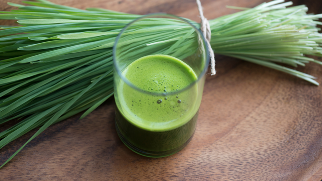 Khám phá lợi ích của cỏ lúa mì và cách dùng hiệu quả