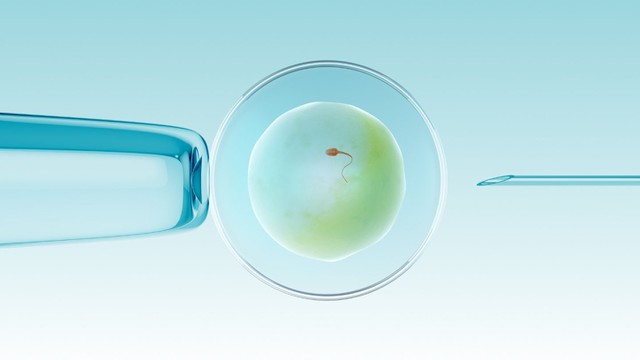 bai-viet/tim-hieu-chi-tiet-ve-ky-thuat-gom-trung-lam-ivf.html