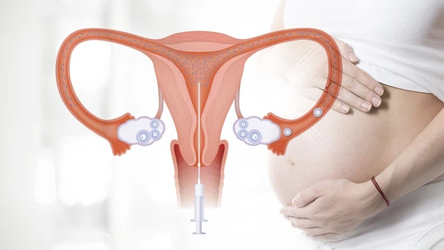 Làm IUI ở đâu tốt nhất TPHCM? Tiêu chí lựa chọn cơ sở uy tín