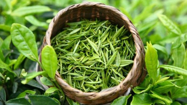 bai-viet/loi-ich-cua-tra-xanh-doi-voi-lan-da.html