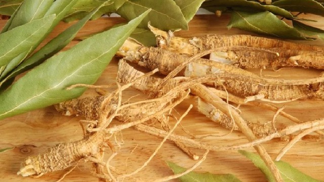 bai-viet/loi-ich-va-lieu-luong-khuyen-dung-cua-re-suma.html
