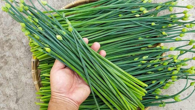 bai-viet/meo-chua-tao-bon-cho-tre-bang-la-he-don-gian-ngay-tai-nha.html