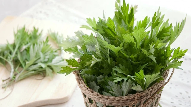 bai-viet/ngai-cuu-chua-dau-khop-goi-bai-thuoc-dan-gian-cuc-hieu-qua.html