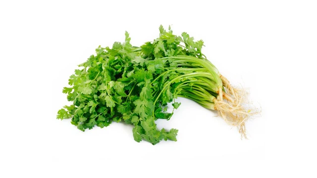 Ngò rí có tác dụng gì? Lưu ý quan trọng khi dùng ngò rí