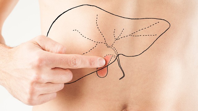 bai-viet/nguyen-nhan-hinh-thanh-va-bieu-hien-cua-polyp-tui-mat-3-mm.html