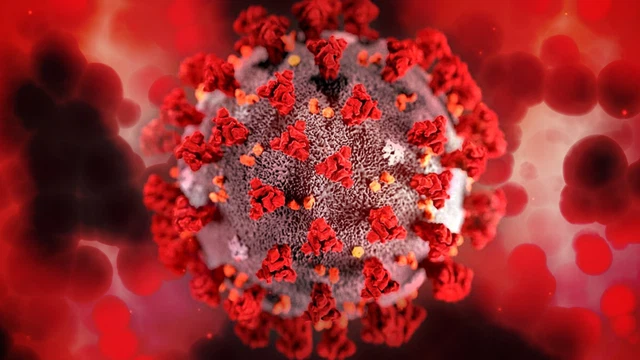bai-viet/nhiem-hpv-type-12-co-the-mang-thai-khong-yeu-to-anh-huong-den-kha-nang-thu-thai.html