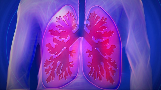 bai-viet/bien-chung-copd-la-gi-tac-hai-can-luu-y-va-cach-phong-ngua.html