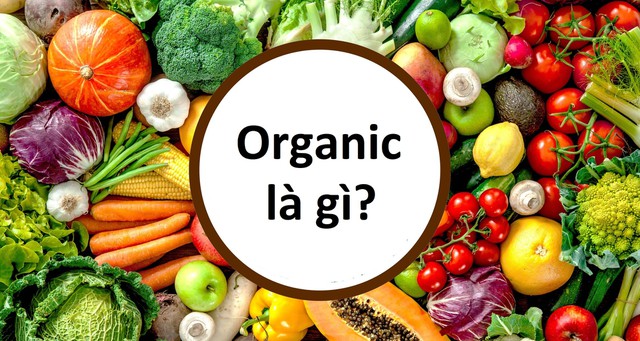 bai-viet/organic-la-gi-vi-sao-thuc-pham-organic-luon-duoc-ua-chuong-70328.html