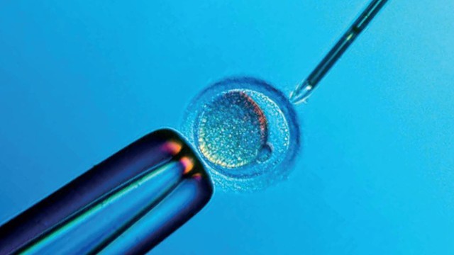 bai-viet/phoi-loai-1-2-3-la-gi-cach-phan-loai-va-chon-lua-phoi-trong-ivf.html