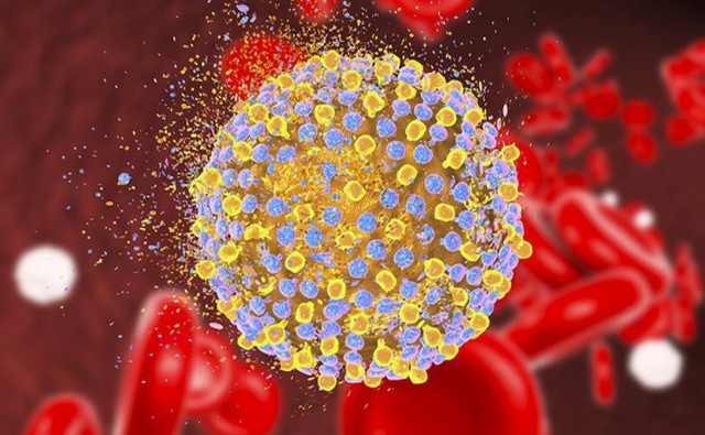 bai-viet/phuong-phap-chan-doan-va-dieu-tri-viem-gan-virus-e-hieu-qua-an-toan-nhat.html