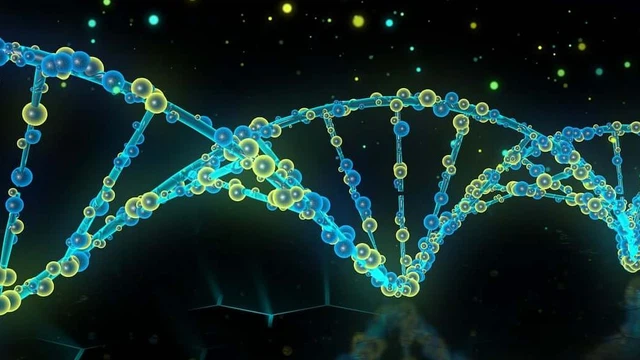 bai-viet/plasmid-la-gi-kham-pha-vai-tro-quan-trong-cua-plasmid-trong-sinh-hoc.html