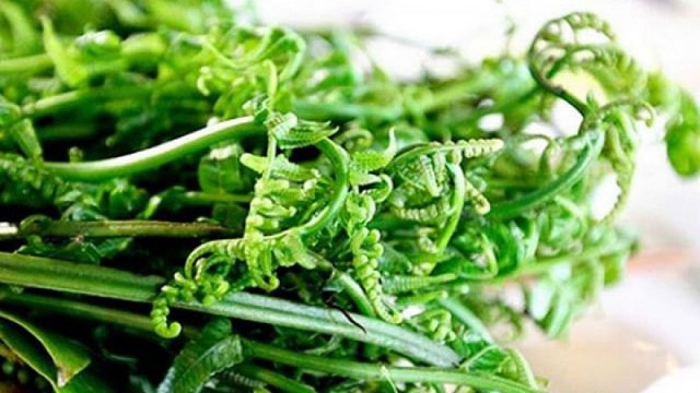 bai-viet/rau-don-la-cay-gi-cay-don-tac-dung-voi-suc-khoe-ra-sao.html