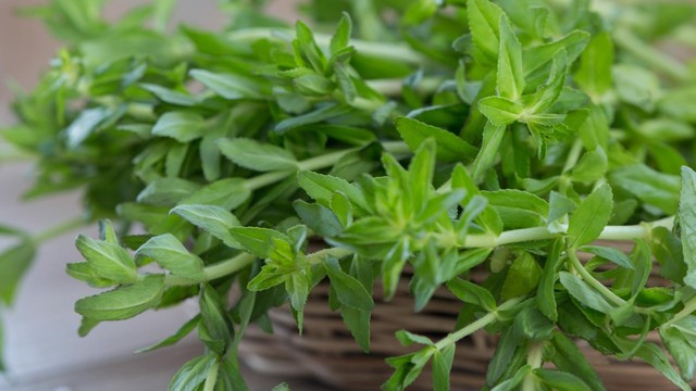 bai-viet/rau-om-nau-nuoc-uong-co-tac-dung-gi-bai-thuoc-quy-tu-rau-om.html