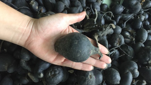bai-viet/sam-o-linh-cong-dung-va-cach-dung-hieu-qua.html