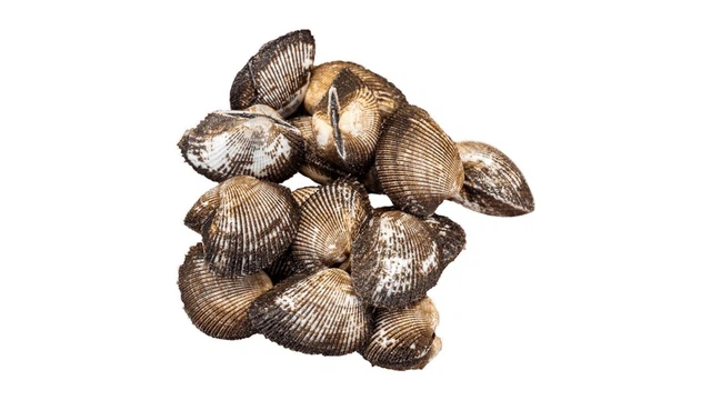 bai-viet/an-so-long-co-tot-khong-gia-tri-dinh-duong-va-cong-dung-cho-suc-khoe.html