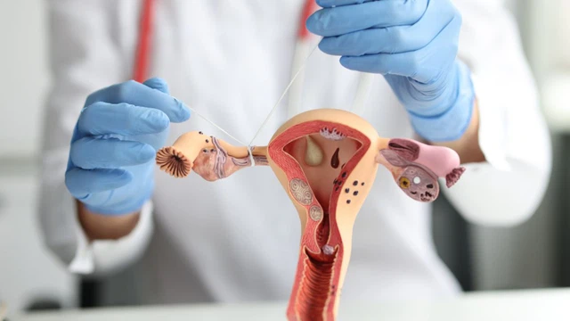 Giải đáp thắc mắc: Tắc 1 bên vòi trứng có thai được không?