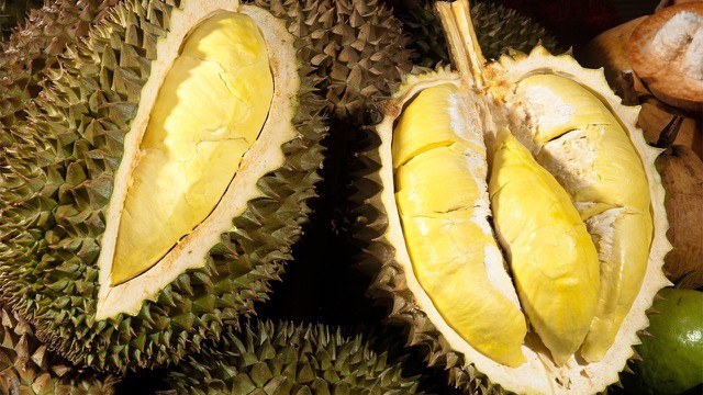 bai-viet/tac-dung-cua-sau-rieng-voi-niem-mac-tu-cung-la-gi.html