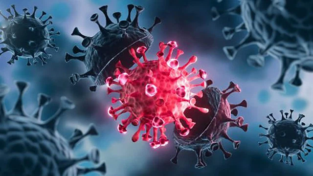 bai-viet/tai-luong-virus-hiv-la-gi-tai-luong-virus-hiv-bao-nhieu-la-cao.html