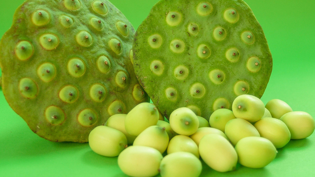 bai-viet/that-hu-an-hat-sen-de-ngu-va-nhung-dieu-can-biet-khi-su-dung-hat-sen.html