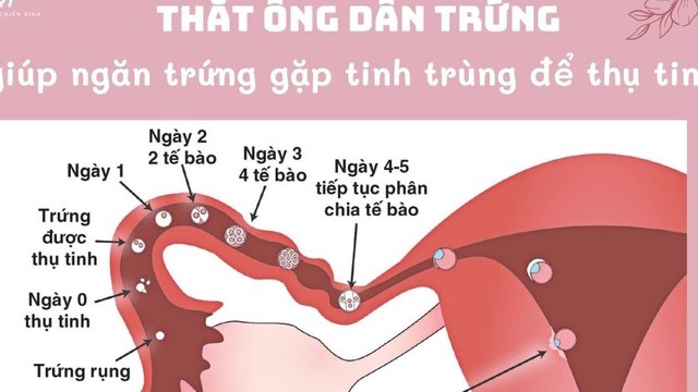 bai-viet/that-ong-dan-trung-co-thao-duoc-khong-63038.html