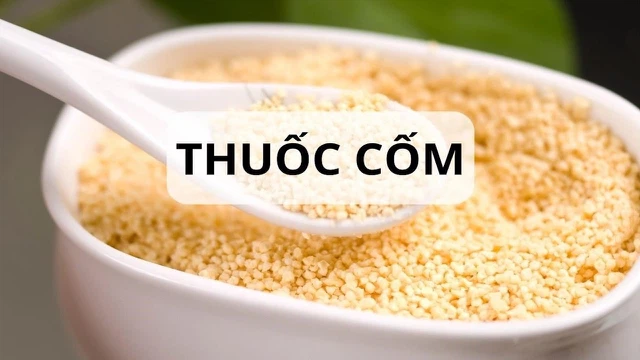 bai-viet/thuoc-com-la-gi-cach-su-dung-uu-diem-va-nhuoc-diem-cua-thuoc-com.html