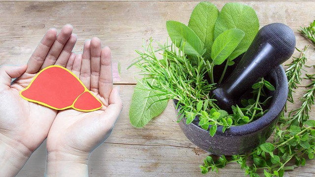 bai-viet/thuoc-nam-tri-gan-nhiem-mo-giai-phap-tu-thien-nhien.html