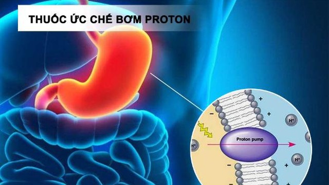 bai-viet/thuoc-uc-che-bom-proton-co-tac-dung-gi-cach-su-dung-va-nhung-dieu-can-luu-y.html