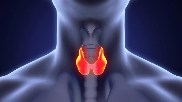 bai-viet/thyroid-la-gi-va-nhung-benh-ly-thuong-gap.html